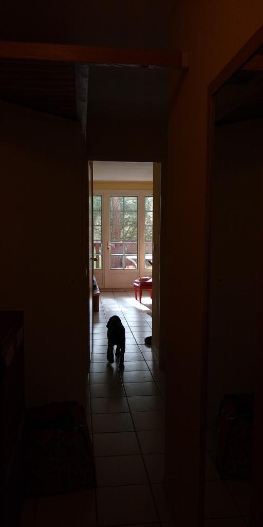 Albertine appt 112 photo 3