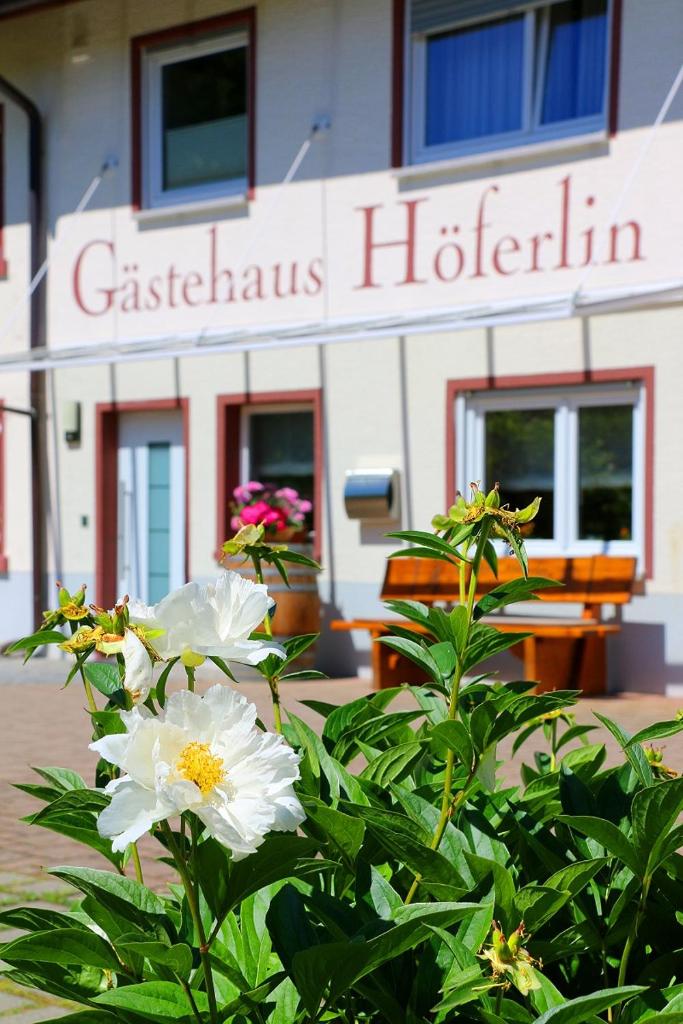 Gästehaus Höferlin photo 1