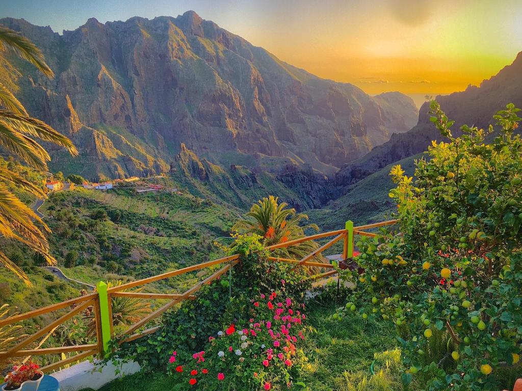 Sweet Home Masca photo 1