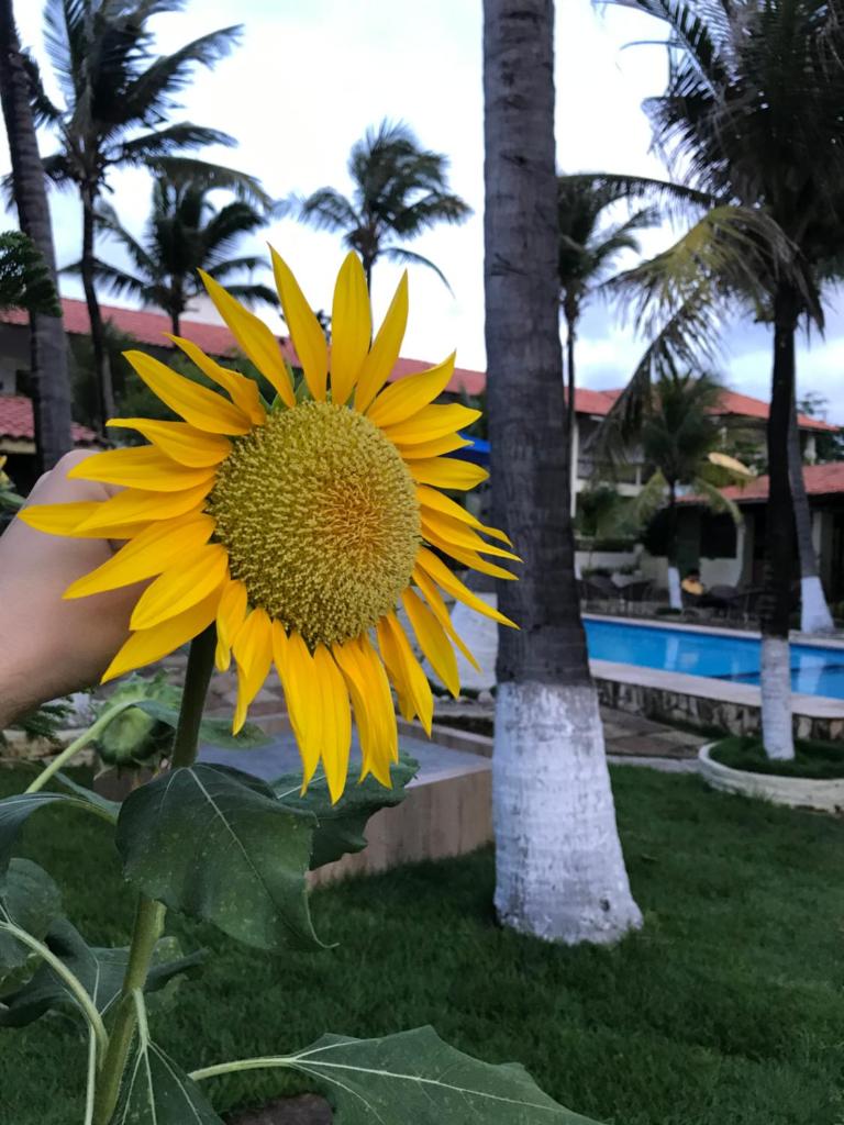 Pousada Isca do Sol photo 2