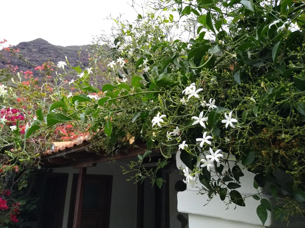 Casa Tigot photo 2