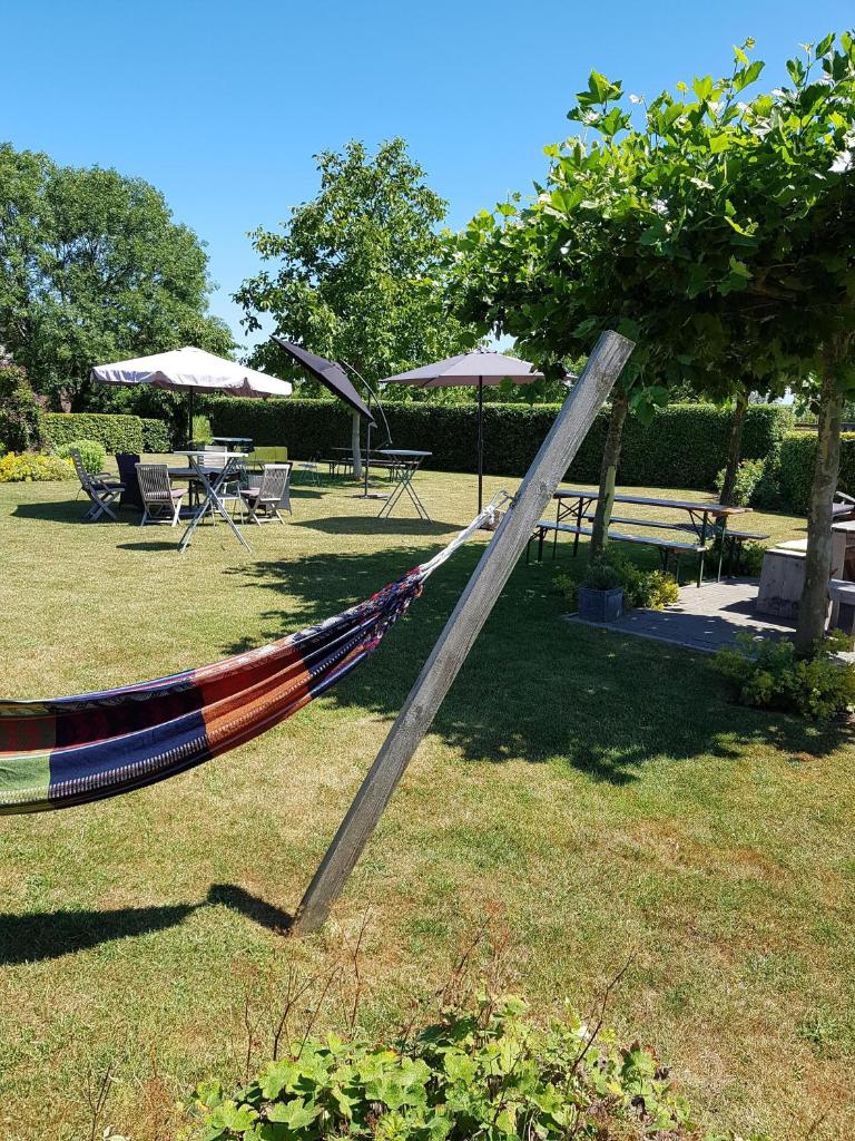 B&B Biesehof photo 3