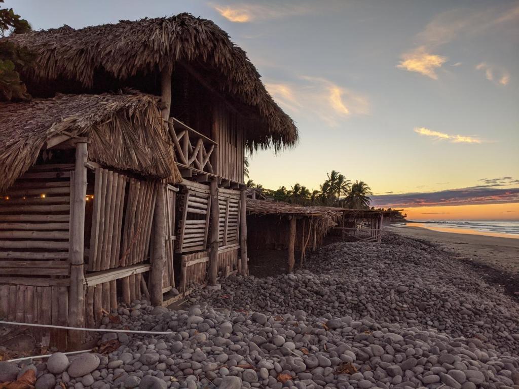 Pelicano Surf Camp photo 2