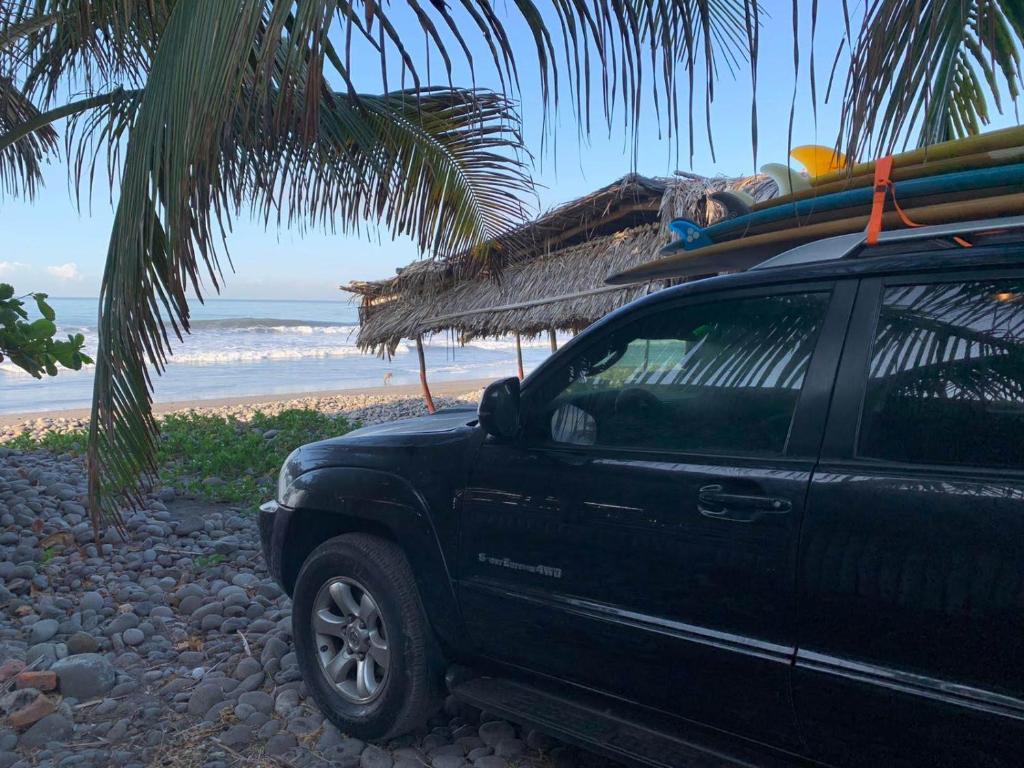 Pelicano Surf Camp photo 4