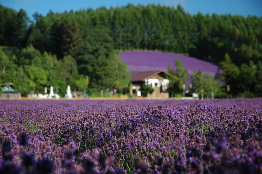 Hotel Naturwald Furano photo 2