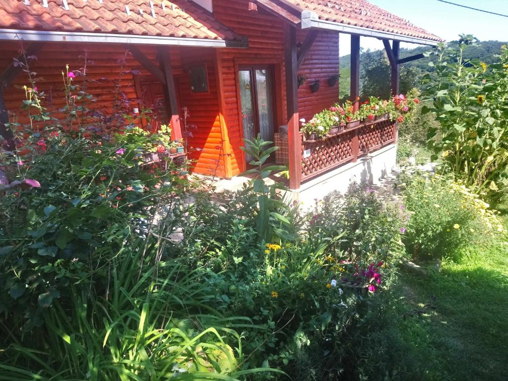 Guest house Little Heaven photo 1