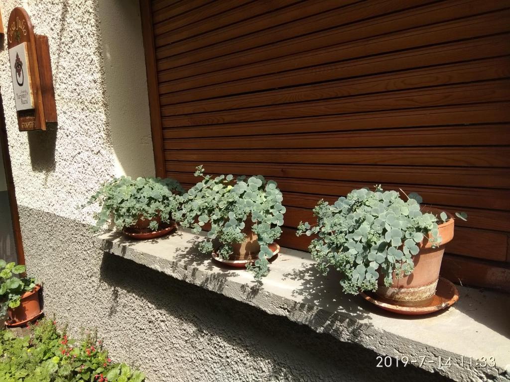 Casa Julio photo 2