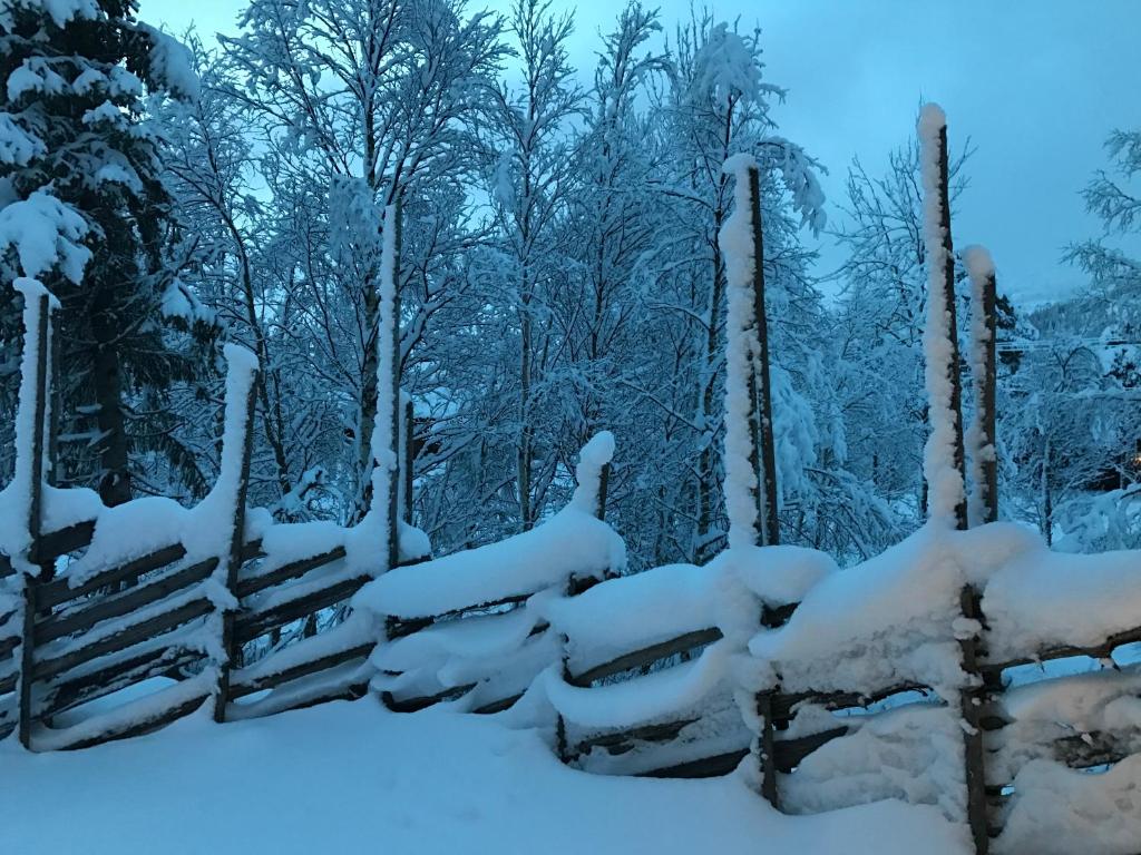 Kirkebøen Hytter photo 3