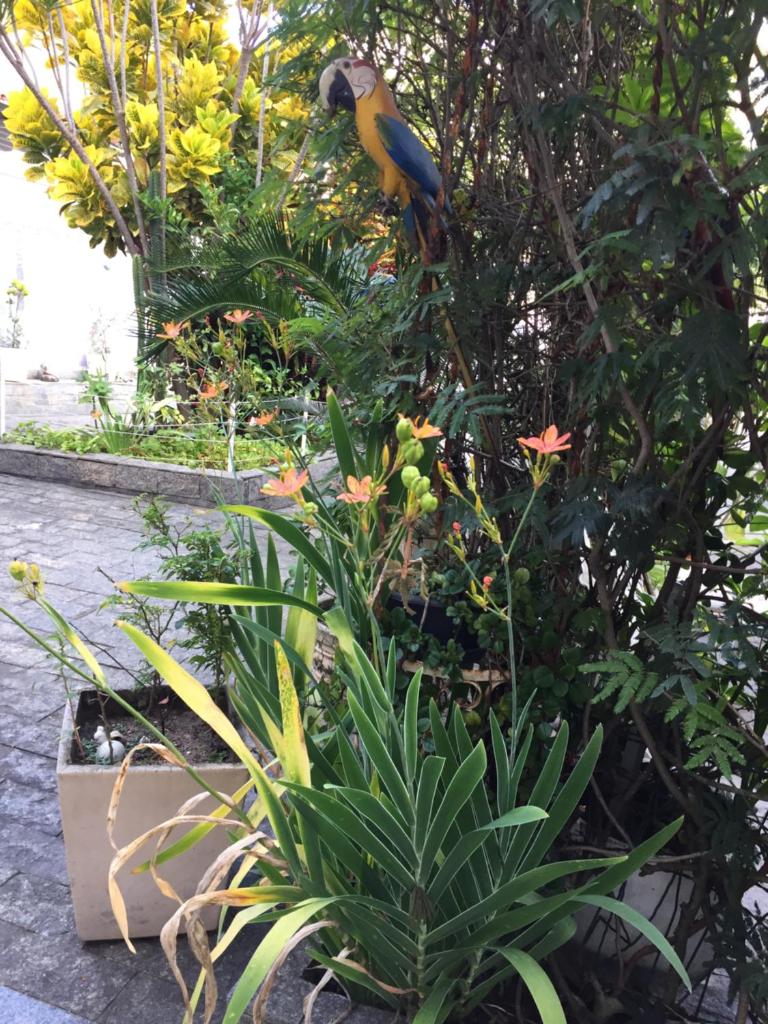 Casa aconchegante em Vila Valqueire photo 4