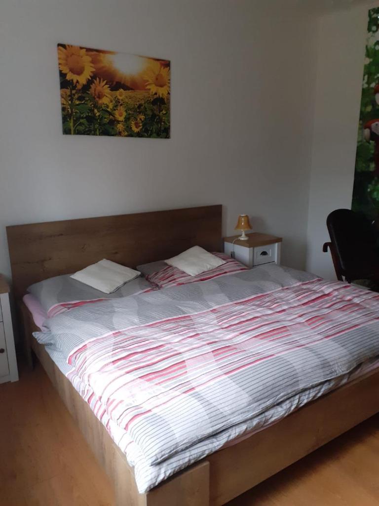 Apartman Ema photo 3