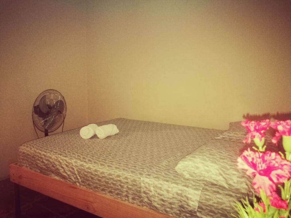 Apartamentos Morpho CR 2 photo 1