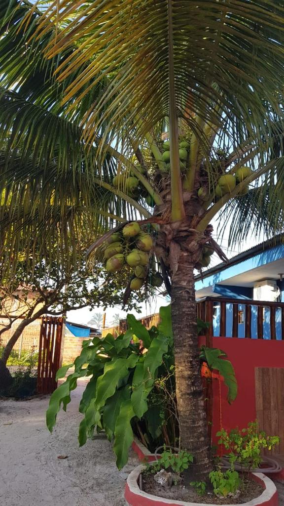 Casas Barra Sol photo 2