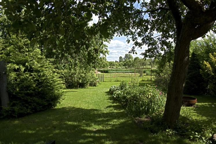 Ferienhaus am Schilfgürtel photo 3