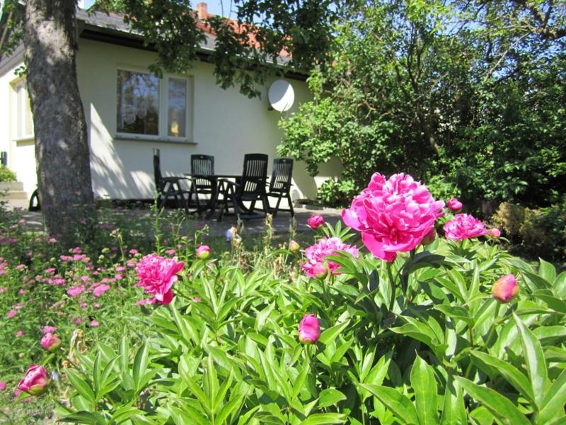 Ferienhaus am Schilfgürtel photo 4
