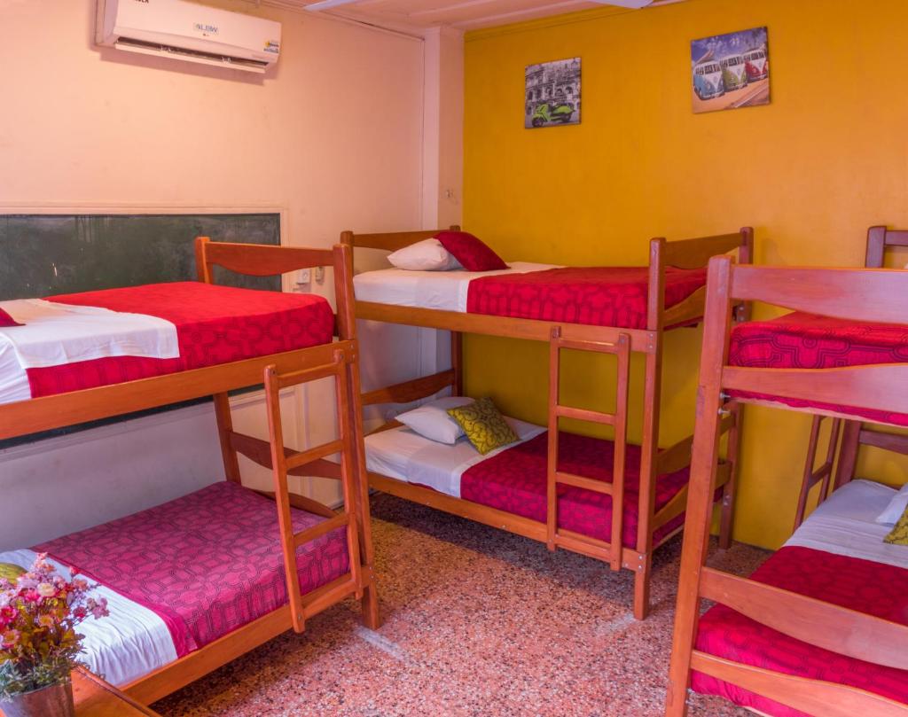 Flying Dog Hostel Iquitos photo 4