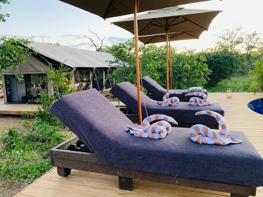 Simbavati Trails Camp photo 2