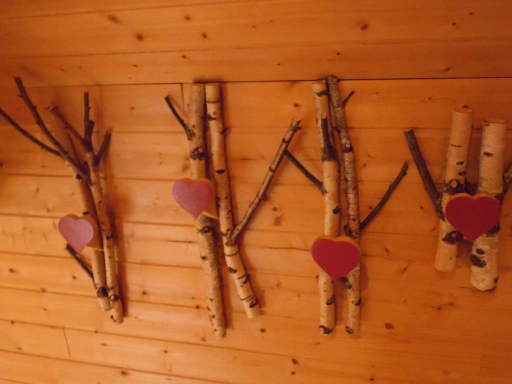 Chalet des Clarines photo 2