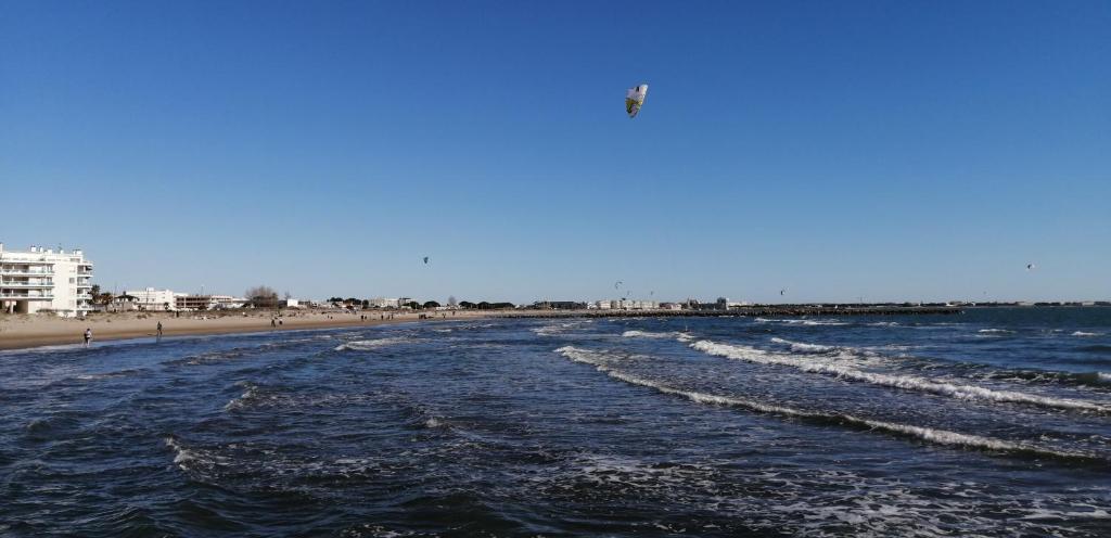 1베드룸 아파트