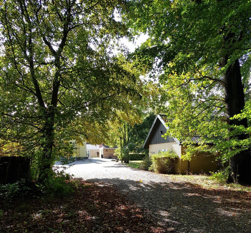 Pederstrup Bed and Breakfast photo 1