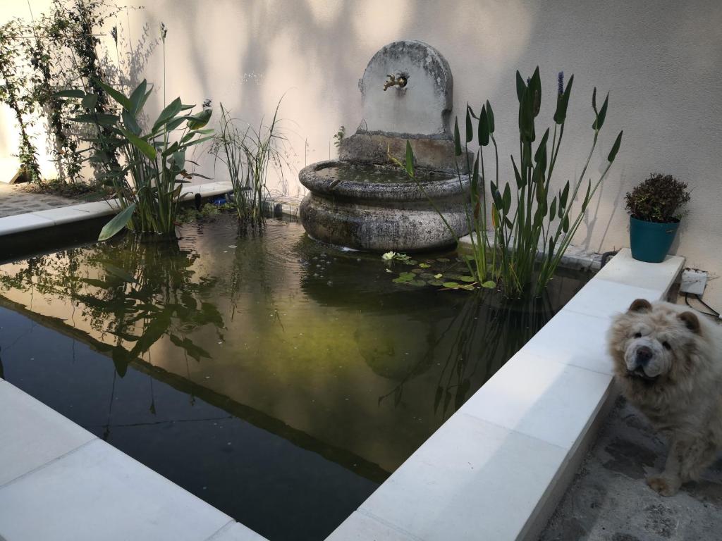 Les 7 Sources photo 4
