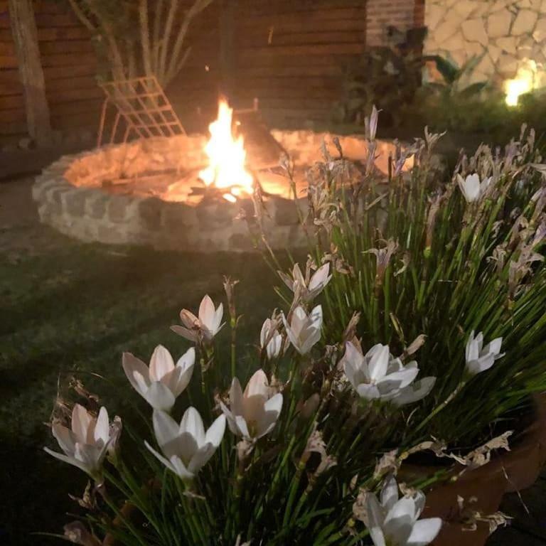 Complejo Arboreto photo 3