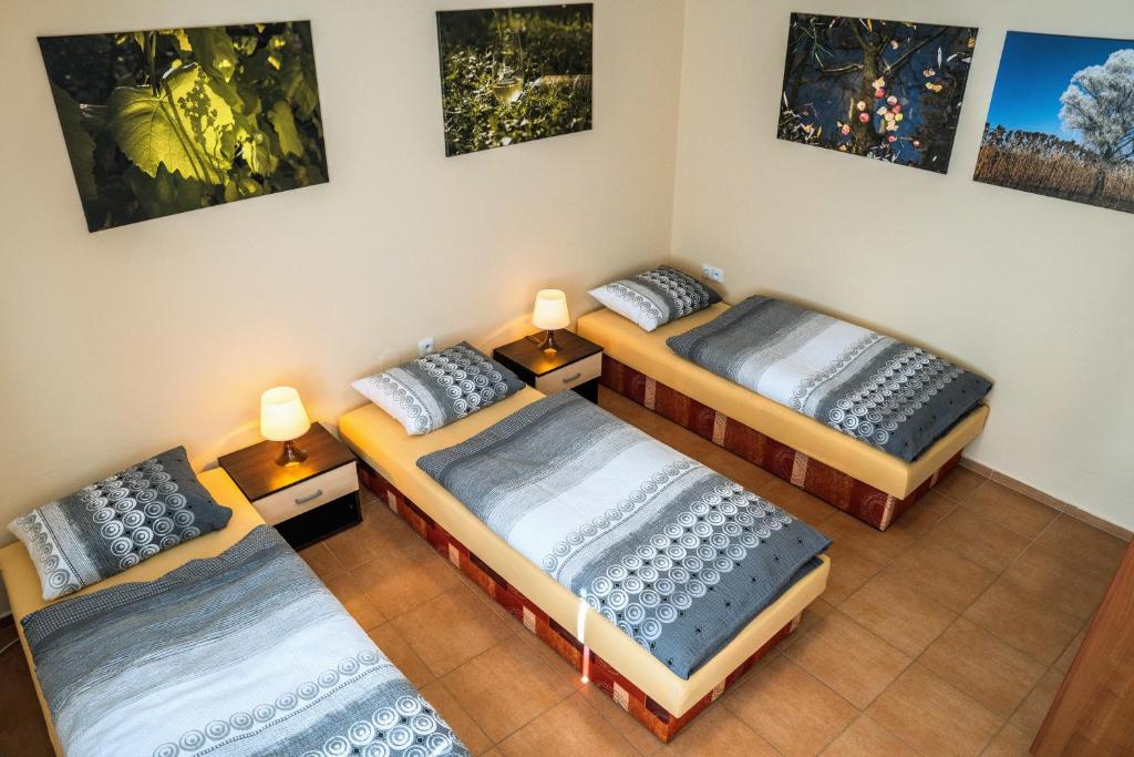 Ubytování ve Vinařství Medek | Medek House & Winery photo 3