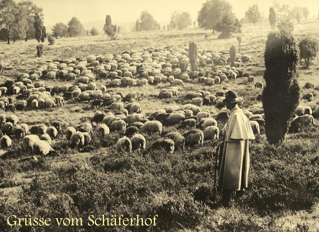 Hotel Schäferhof photo 4
