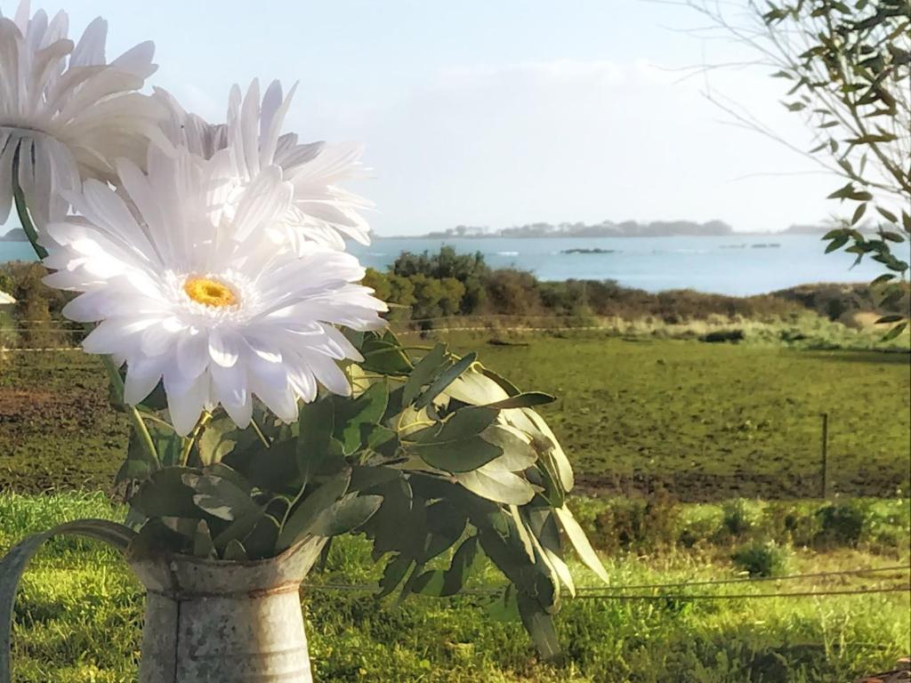 Le petit gîte cosy de Kerigou avec vue mer et plage photo 4