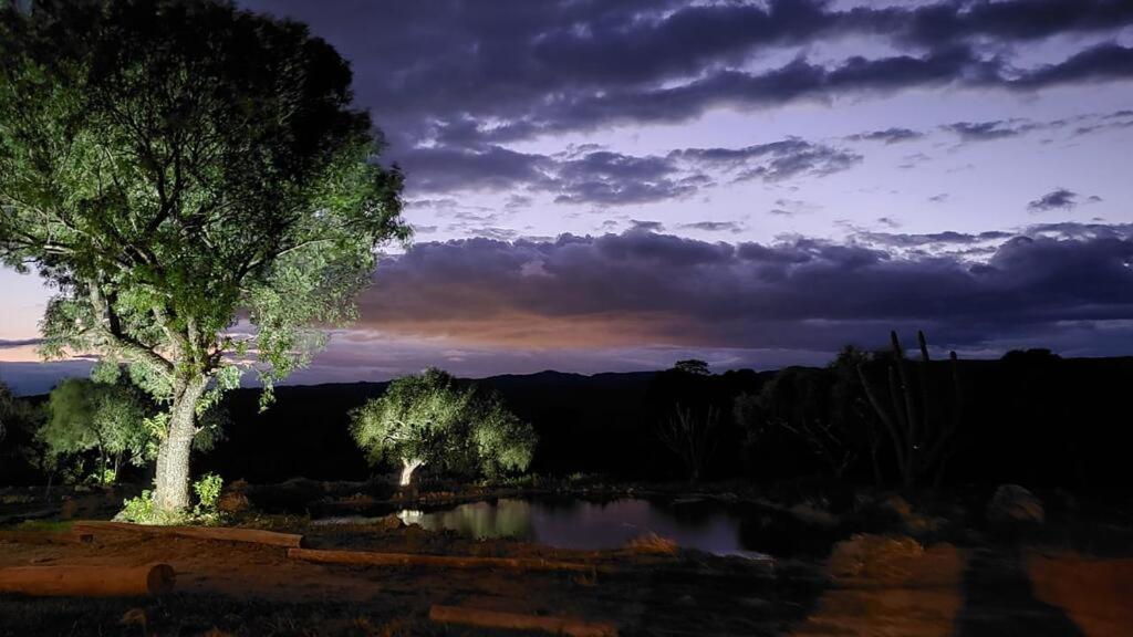 La Ceiba photo 1