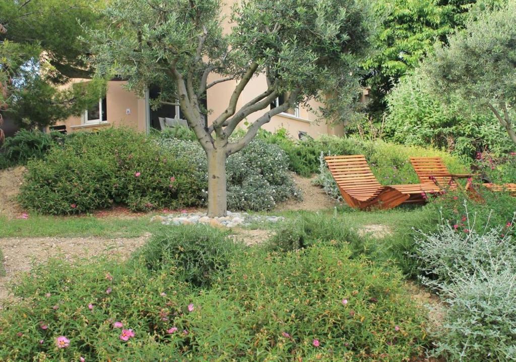 Parfums de Provence "L'Oliveraie" - Piscine chauffée & Spa photo 1