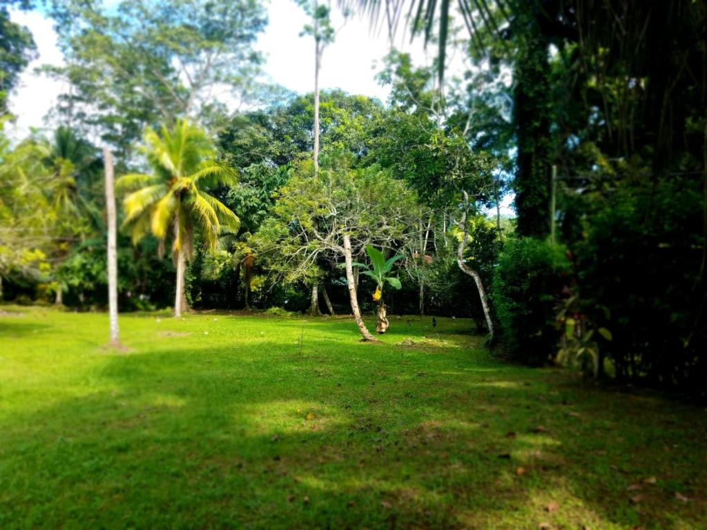 Casita Amarilla photo 2