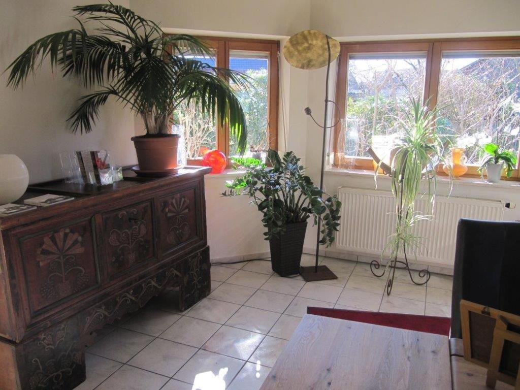 Pension Sonnengrund photo 4