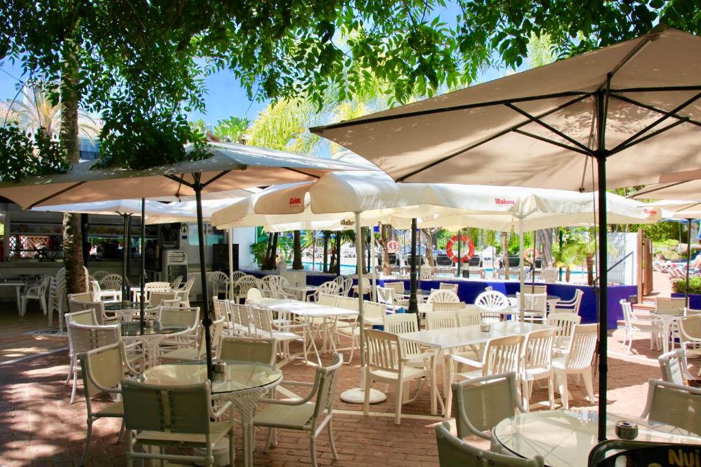 Top Apartment in Los Jardines de las Golondrinas photo 2