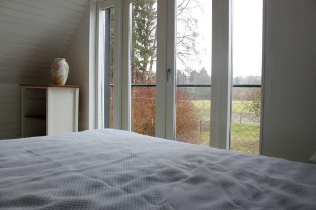Stråtækt idyl i skoven photo 4
