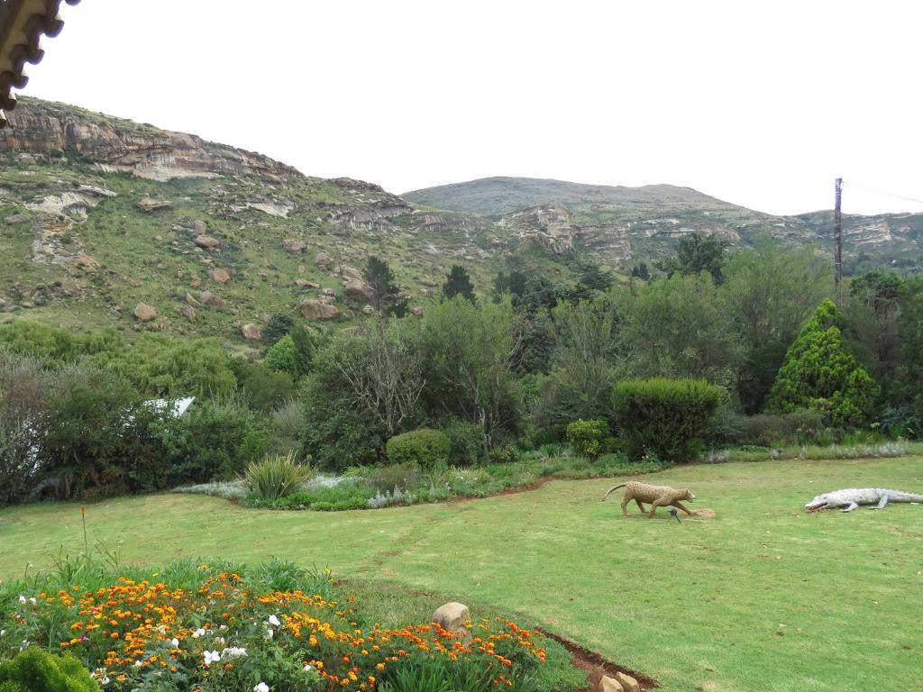 Fairview Cottages photo 1