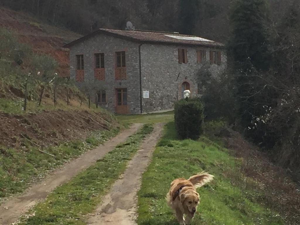 La Difesa