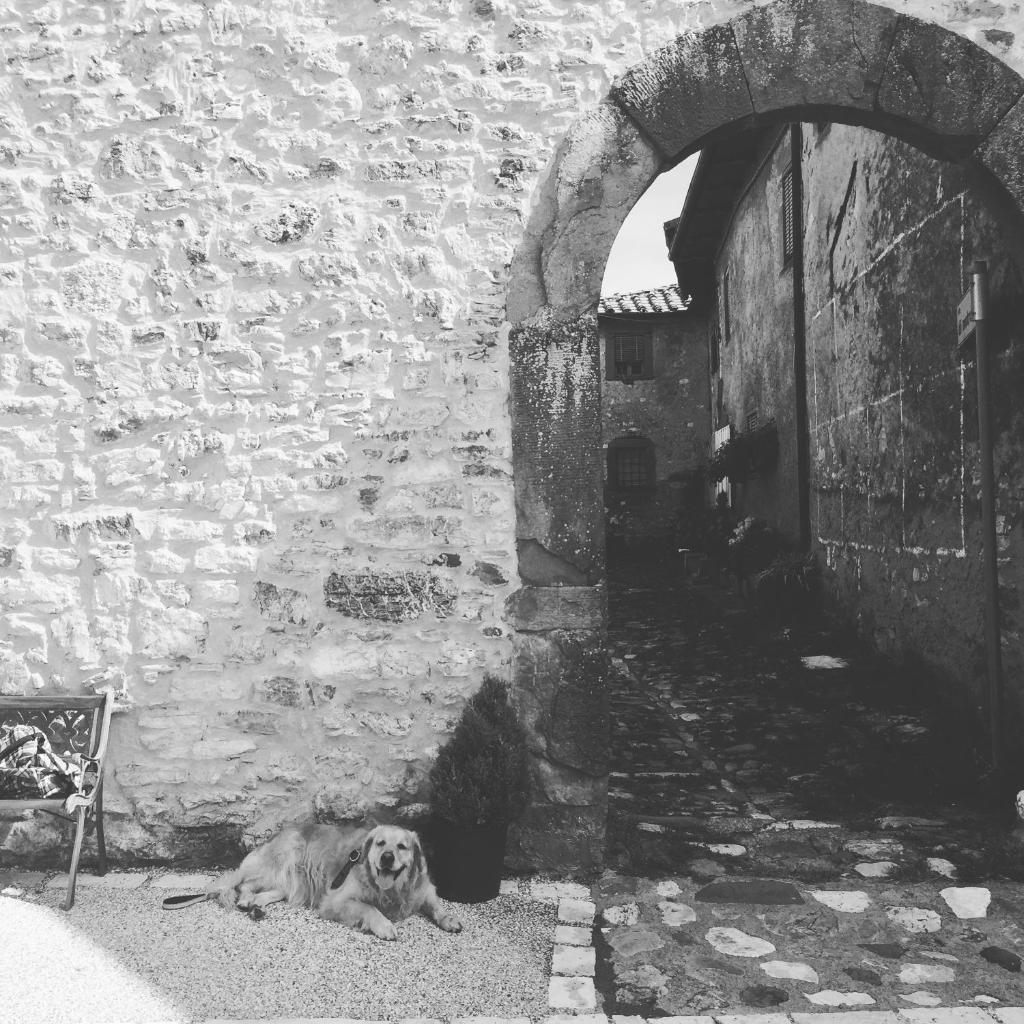 La Difesa photo 2