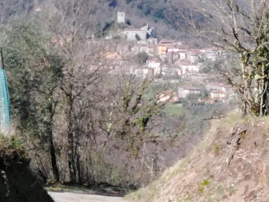 La Difesa photo 3