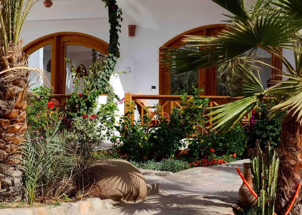 Двухместный (Двухместный номер Делюкс с 1 кроватью), Planet Oasis Resort Dahab