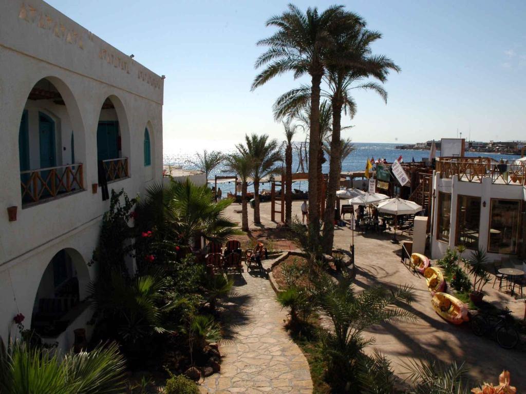 Planet Oasis Resort Dahab photo 1