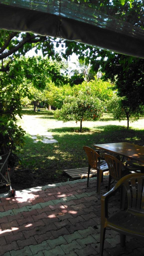 Armina Pension photo 3