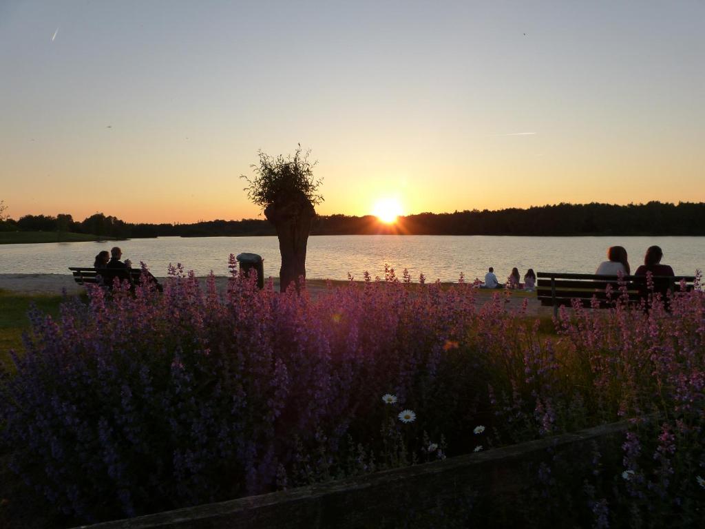 Appartementhotel Seeblick photo 1