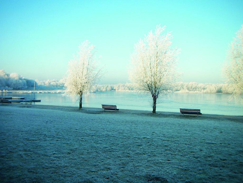 Appartementhotel Seeblick photo 4