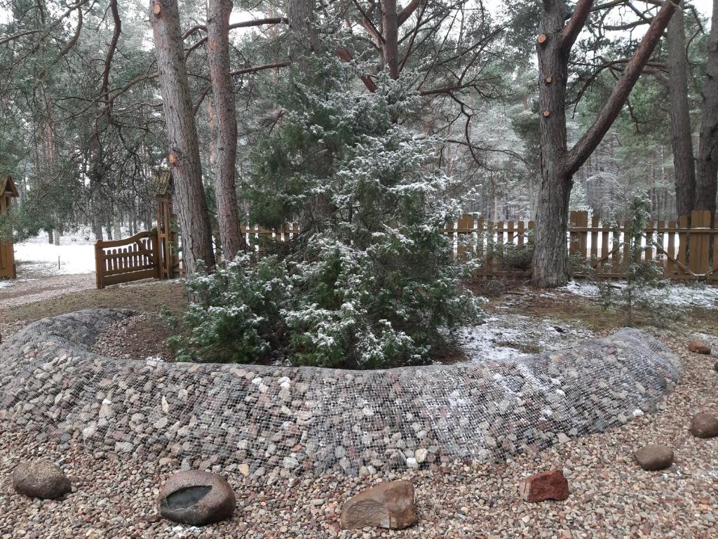 Kempings Videnieki photo 2