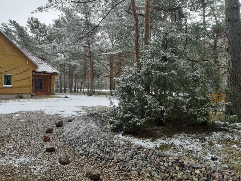 Kempings Videnieki photo 1