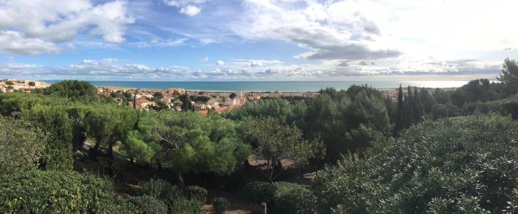 Saint-Pierre-la-Mer photo 4