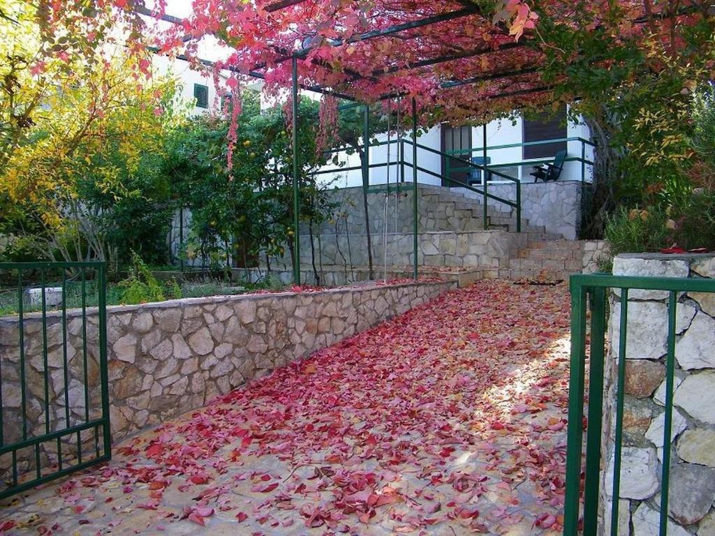 Apartments Fran-30m from sea photo 2