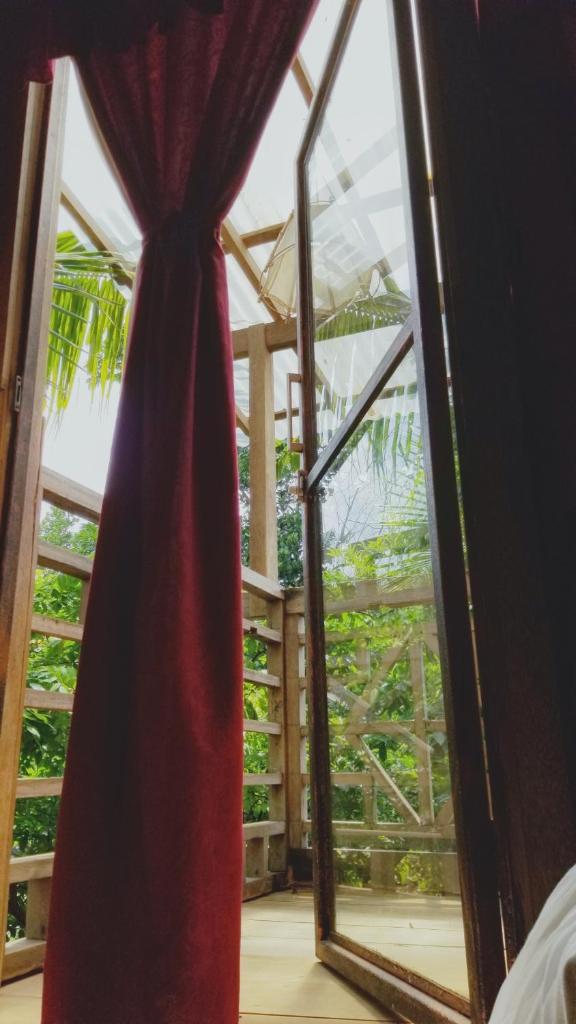 Didu's Homestay Bed & Breakfast photo 3