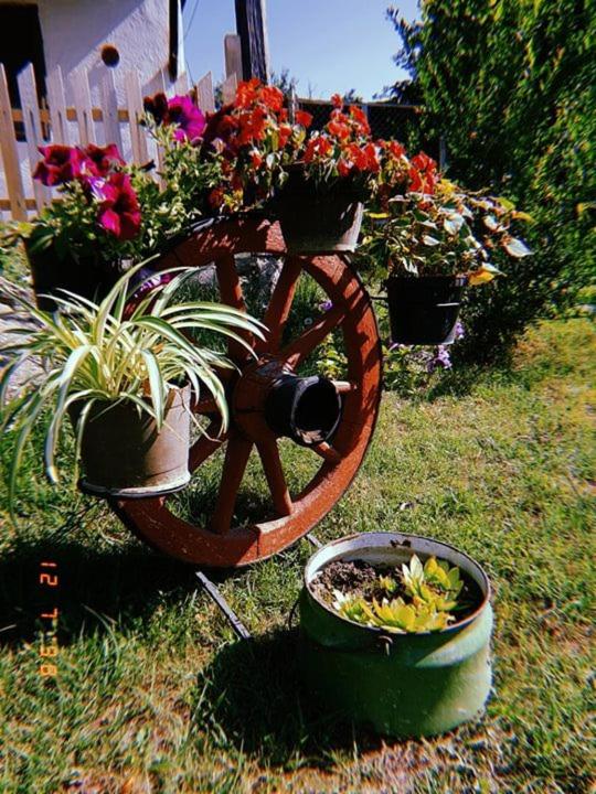 Vila Happy Story photo 1