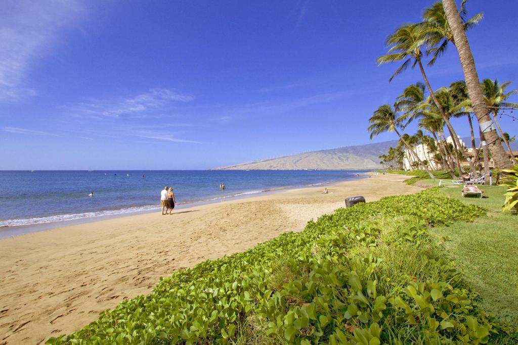 Kihei Kai Oceanfront Condos image
